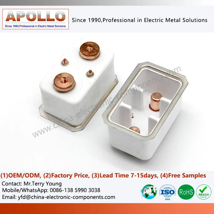 High Purity Alumina Precision Advanced Ceramic Metallization Parts
